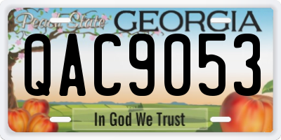 GA license plate QAC9053