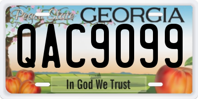GA license plate QAC9099