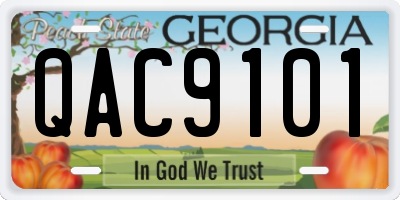 GA license plate QAC9101
