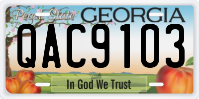 GA license plate QAC9103