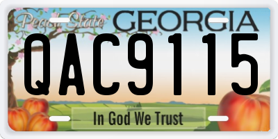 GA license plate QAC9115