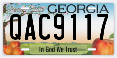 GA license plate QAC9117