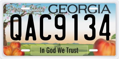GA license plate QAC9134