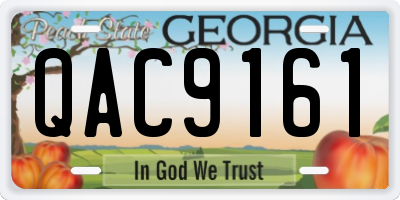 GA license plate QAC9161