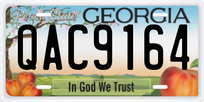 GA license plate QAC9164
