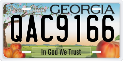 GA license plate QAC9166