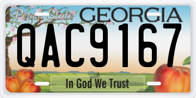 GA license plate QAC9167