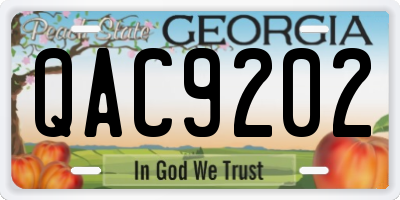 GA license plate QAC9202