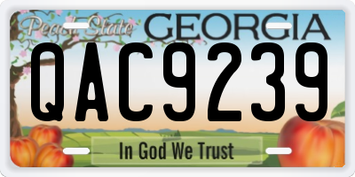 GA license plate QAC9239