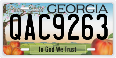 GA license plate QAC9263