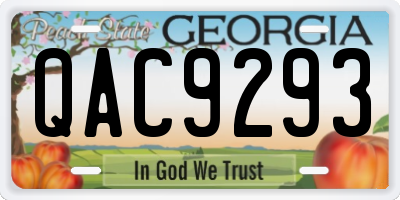 GA license plate QAC9293