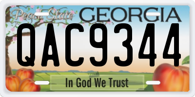 GA license plate QAC9344