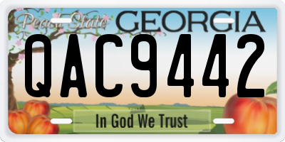 GA license plate QAC9442