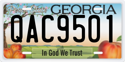 GA license plate QAC9501