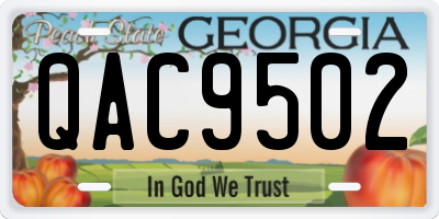 GA license plate QAC9502