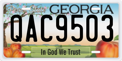 GA license plate QAC9503