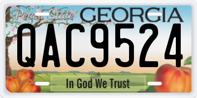 GA license plate QAC9524