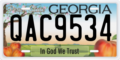 GA license plate QAC9534