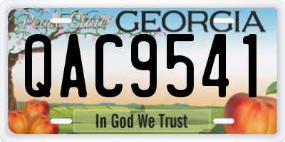 GA license plate QAC9541