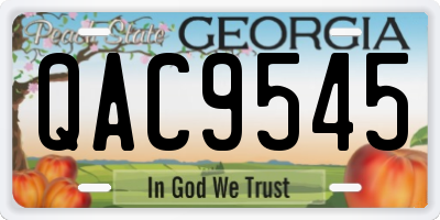 GA license plate QAC9545