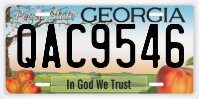 GA license plate QAC9546