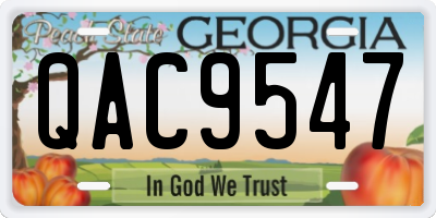 GA license plate QAC9547
