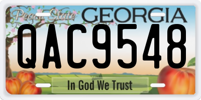 GA license plate QAC9548