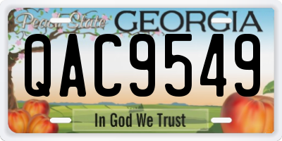 GA license plate QAC9549