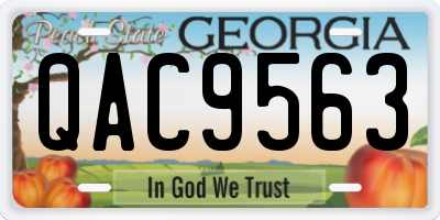 GA license plate QAC9563