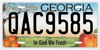 GA license plate QAC9585