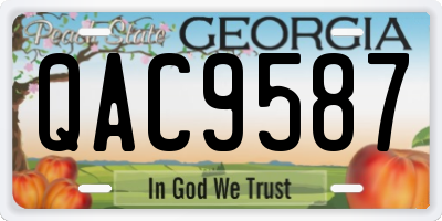 GA license plate QAC9587