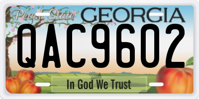 GA license plate QAC9602