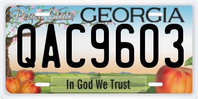 GA license plate QAC9603
