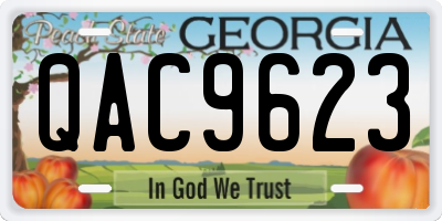 GA license plate QAC9623