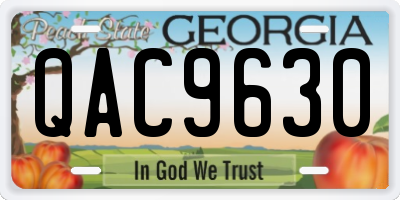GA license plate QAC9630