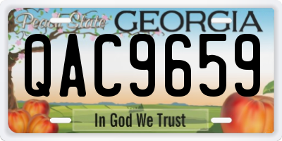 GA license plate QAC9659