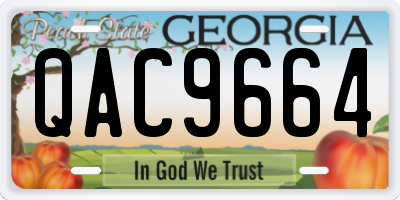 GA license plate QAC9664