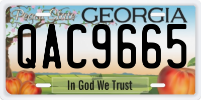 GA license plate QAC9665