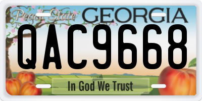 GA license plate QAC9668