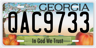 GA license plate QAC9733