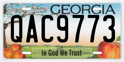 GA license plate QAC9773