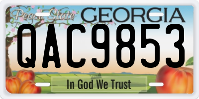 GA license plate QAC9853