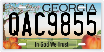 GA license plate QAC9855