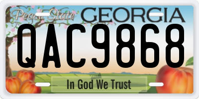 GA license plate QAC9868