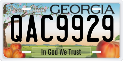 GA license plate QAC9929