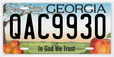 GA license plate QAC9930