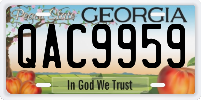 GA license plate QAC9959