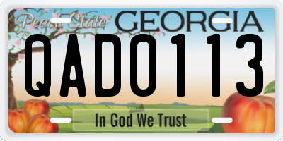 GA license plate QAD0113