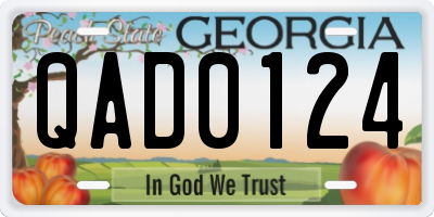 GA license plate QAD0124