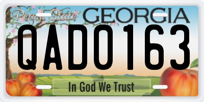 GA license plate QAD0163